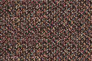 Ковролин AW Ruaha 84 фото  | FLOORDEALER